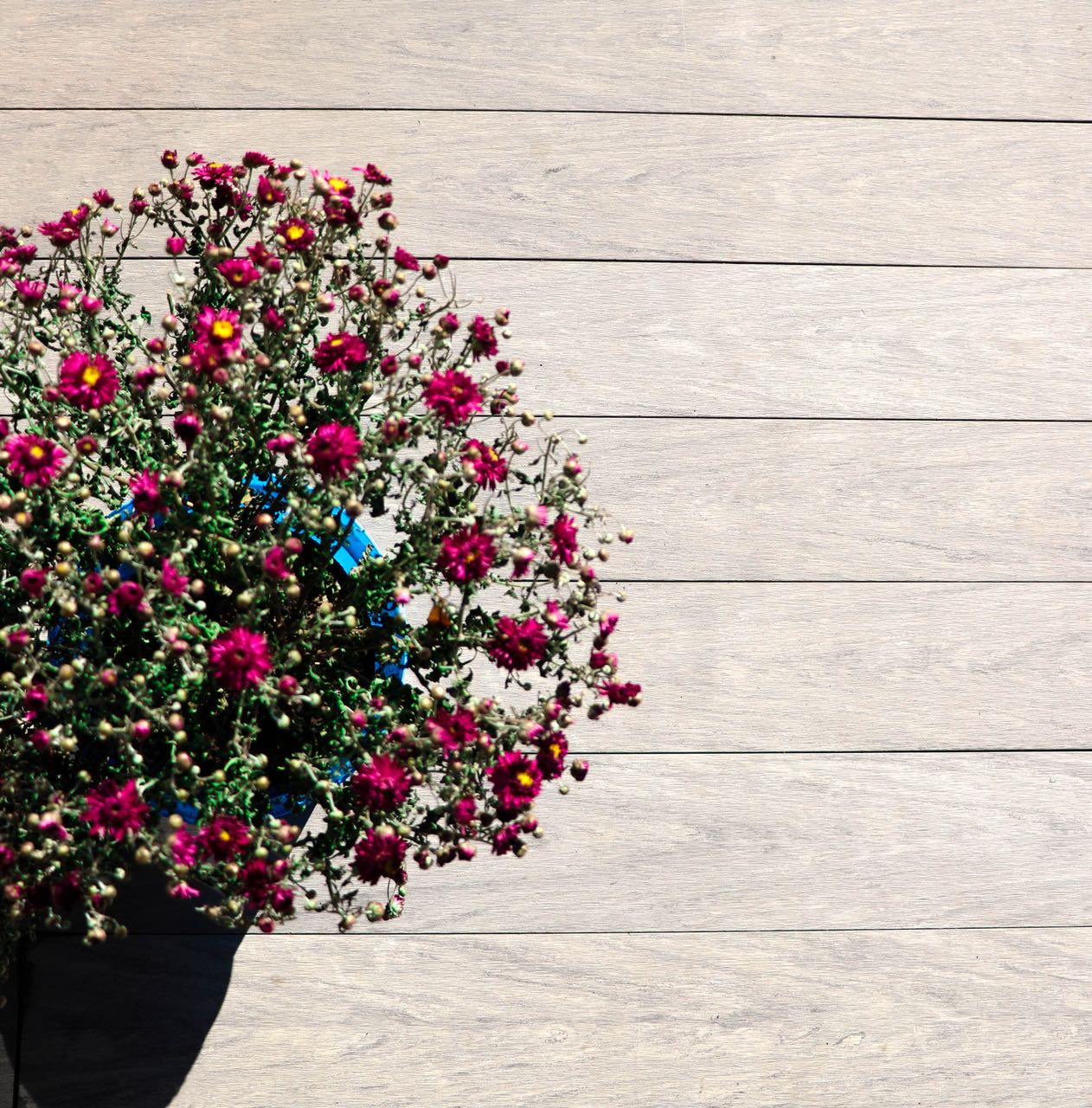 Монтаж террасной доски, ограждений и заборов из ДПК