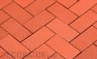 Тротуарная клинкерная брусчатка Penter Baltic Klinker Pavers Classic, 200*100*45 мм